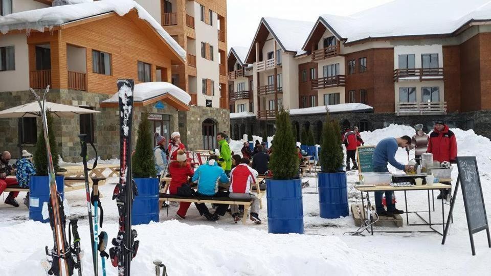 Panorama Apartments New Gudauri Dış mekan fotoğraf